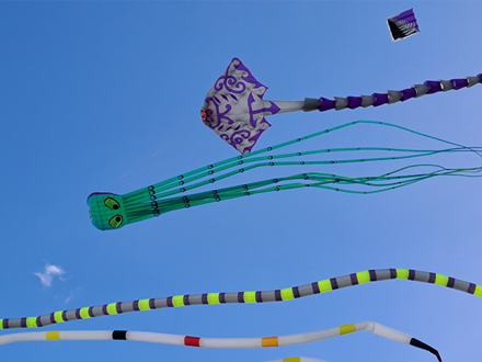 Pou 3 Matariki Whakarewa Manu Kite Day 2026