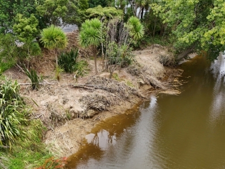 Event Submission 7 Puhoi Riverside Planting Day